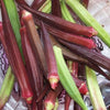 Heirloom Organic Red Burgundy Okra Seeds