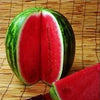 Organic Heirloom AU Producer Watermelon Seeds