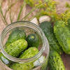 Heirloom Organic Straight Eight Cucumber Seeds