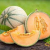 Heirloom Organic Hale's Best Jumbo Cantaloupe Seeds