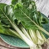 Organic Heirloom Large Ribbed Dark Green Swiss Chard Seeds