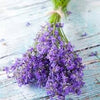 Heirloom Organic English Lavender Seeds