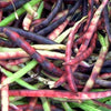 Organic Heirloom Purple Coronet Southern Pea (Cowpea) Seeds