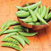 Heirloom Organic Sugar Daddy Stringless Pea Seeds