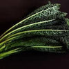 Heirloom Organic Black Magic Lacinato Kale Seeds