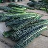 Heirloom Organic Black Magic Lacinato Kale Seeds