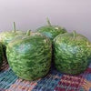 RARE Heirloom Organic Apple Gourd Seeds