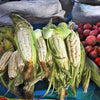 RARE Heirloom Organic Incan Cuzco Maize Seeds !!!WORLD'S LARGEST!! Giant White Peruvian Sweet Corn Seeds