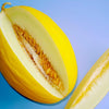 RARE Heirloom Organic Canary Melon Seeds