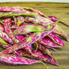 Organic Heirloom Red Cargamanto Bean Seeds