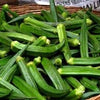 Heirloom Organic Clemson Spineless Okra Seeds