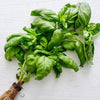 Organic Heirloom Genovese Basil Seeds