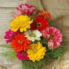 Organic Heirloom State Fair Zinnia Flower Seed Mix