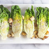 Organic Heirloom Little Caesar Lettuce Seeds