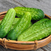 Organic Heirloom Poinsett 76 Cucumber Seeds