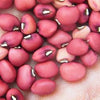 SUPER RARE ENDANGERED Torkuviahe Bean Seeds **Endangered plant species**