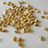 RARE ENDANGERED Cynthia Bean (COWPEA) Seeds Extremely Rare Endangered Plant Species