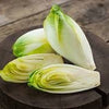 Heirloom Organic Salad King Endive Seeds