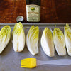 Heirloom Organic Salad King Endive Seeds