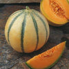 RARE HEIRLOOM Organic Charentais Melon Seeds (Aka French Cantaloupe)