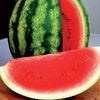 Organic Heirloom AU Producer Watermelon Seeds