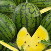 Heirloom Organic Mountain Sweet Yellow Watermelon Seeds