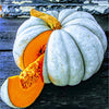 RARE Organic Heirloom Jarrahdale Pumpkin Seeds