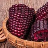 RARE Heirloom Organic Peruvian purple Corn Seeds (Maiz Morado or Incan Ceremonial Maiz)