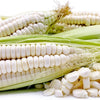 RARE Heirloom Organic Incan Cuzco Maize Seeds !!!WORLD'S LARGEST!! Giant White Peruvian Sweet Corn Seeds