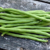 Organic Heirloom Top Crop Bush Bean Garden Seeds