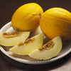RARE Heirloom Organic Canary Melon Seeds