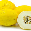 RARE Heirloom Organic Canary Melon Seeds