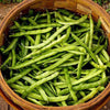 Heirloom Organic Dwarf Gray Sugar Garden Peas Seeds