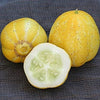 Rare Heirloom Organic Lemon Cucumber Seeds