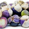 Organic Heirloom Purple Tomatillo Seeds Rare