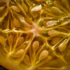 Organic Heirloom Horned Melon Seeds (Cucumis metuliferus, Kiwano, Jelly Melon, African Horned Cucumber.) Seeds Rare