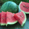 Heirloom Organic Wilson's Sweet Watermelon Seeds