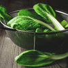 Heirloom Organic Tatsoi Mustard Greens Seeds