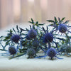 Heirloom Organic Blue Sea Holly Flower