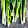 Heirloom Organic Tokyo Long White Onion Seeds