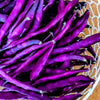 Heirloom Organic Royalty Purple Pod Garden Bean Seeds
