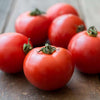 Organic Early Girl Tomato Seeds Pelleted