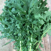 Heirloom Organic White Russian Kale Seeds
