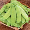 Heirloom Organic Mammoth Melting Snow Pea Seeds