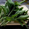 Heirloom Organic Sage Seeds  Aka Salvia Officinalis Medicinal Herbs, Garden Sage, Smudging, Green Sage, Common Sage, Smudge sticks