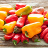 Heirloom Organic Mix Lunchbox Pepper Seeds