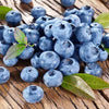 Organic Heirloom Blueberry Bush - Seeds Perfect for potting for urban gardening or apartment plants!