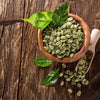 Organic Coffee Bean Tree Seeds  Arabica perfect office or house plants! seedlings available check website for details