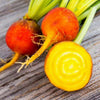 Heirloom Organic Detroit Gold Beet Seeds