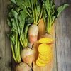 Heirloom Organic Detroit Gold Beet Seeds